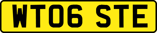 WT06STE