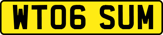 WT06SUM