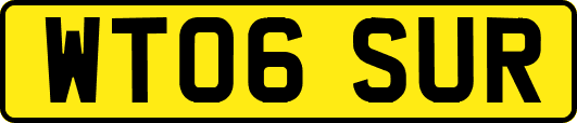 WT06SUR