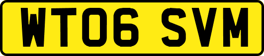 WT06SVM