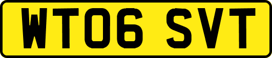 WT06SVT
