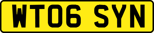 WT06SYN