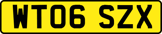 WT06SZX