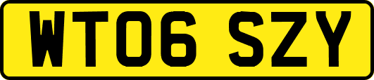 WT06SZY