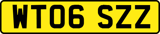 WT06SZZ