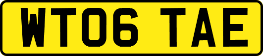 WT06TAE