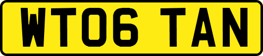 WT06TAN