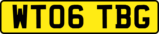 WT06TBG