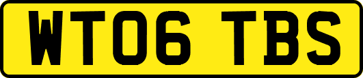 WT06TBS