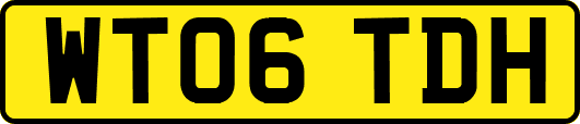WT06TDH