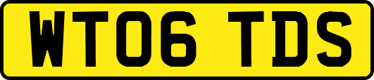 WT06TDS