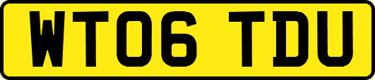 WT06TDU