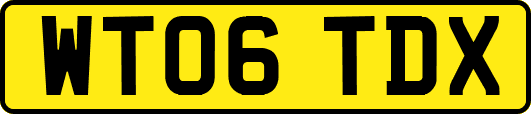WT06TDX