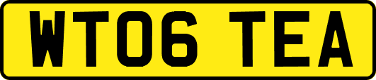 WT06TEA