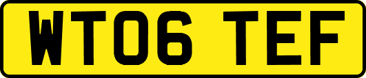 WT06TEF