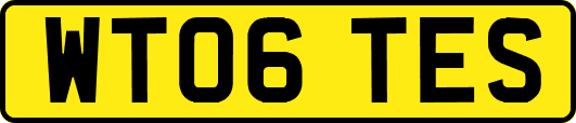 WT06TES