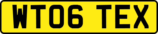 WT06TEX
