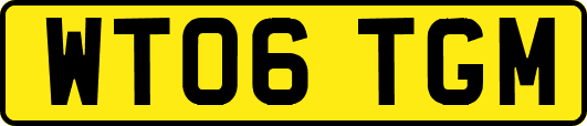 WT06TGM