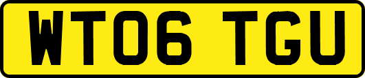 WT06TGU