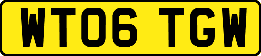 WT06TGW
