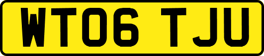 WT06TJU