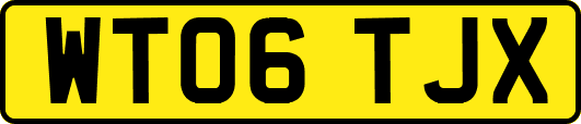 WT06TJX