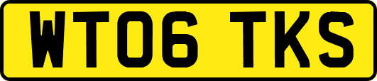 WT06TKS