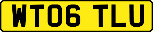 WT06TLU