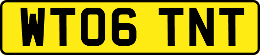 WT06TNT