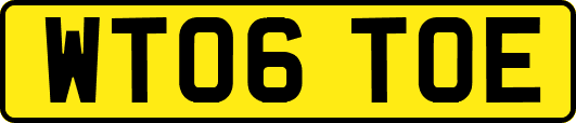 WT06TOE