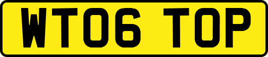 WT06TOP