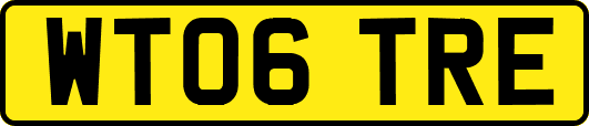WT06TRE