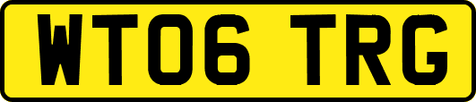 WT06TRG