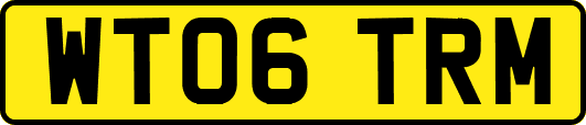 WT06TRM