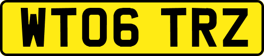 WT06TRZ