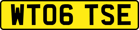 WT06TSE