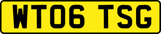 WT06TSG