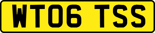 WT06TSS