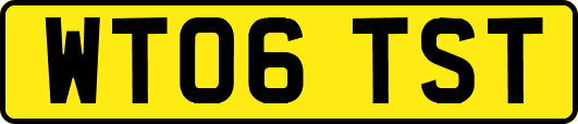 WT06TST