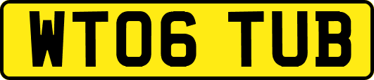 WT06TUB