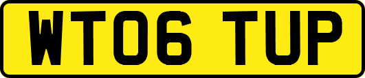 WT06TUP