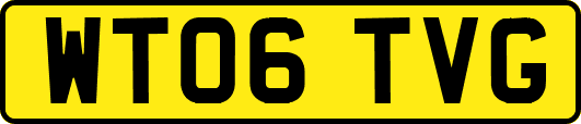 WT06TVG