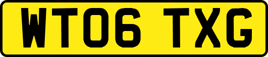 WT06TXG