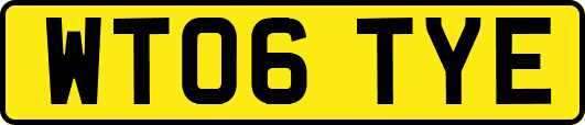 WT06TYE