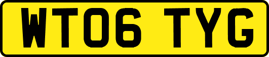 WT06TYG