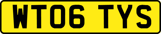 WT06TYS