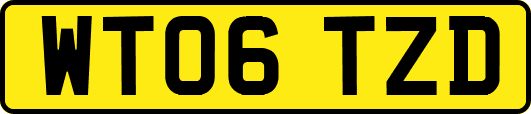 WT06TZD