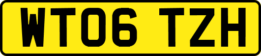 WT06TZH