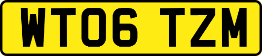 WT06TZM