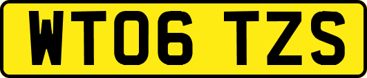 WT06TZS